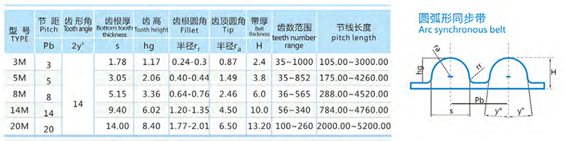 橡胶同步带-圆弧齿.jpg