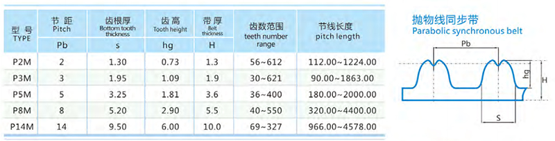 橡胶同步带-抛物线齿.jpg